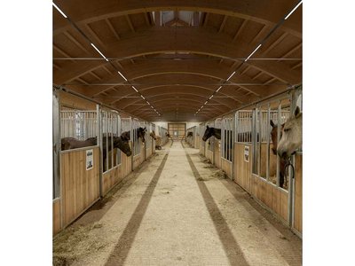 Seniorenresidenz für Pferde