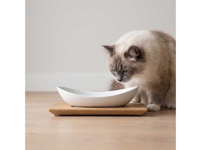 Futter(napf)neid