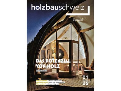 Das Potenzial von Holz