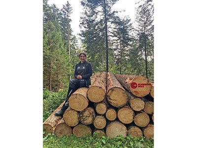 Einen Nagel einschlagen – das kommt gut an