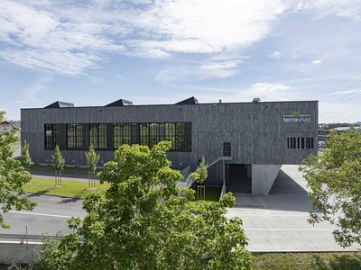 Kartoffeln, RüeblI … und ganz viel Holz